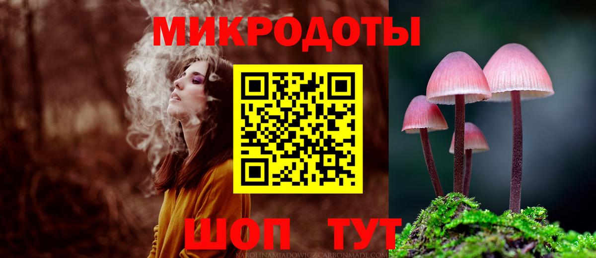Нальчик  Галлюциногенные грибы Psilocybe  Вход с VPN 